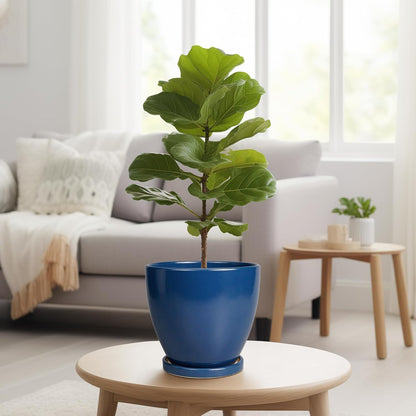 Ceramic Plant Pot - 8 Inch Planter for Indoor Outdoor Plants, Round Flower Pots with Drainage and Tray, Home Office Decor, Blue