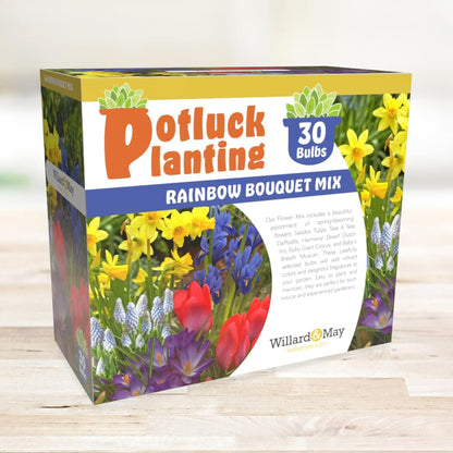 All-in-One Flower Garden Kit - 30 Bulbs Per Box - Potluck Planting Rainbow Bouquet Mix - Tulips, Daffodils, Iris, Crocus, Muscari - Live Outdoor Garden - Easy to Plant Flowers