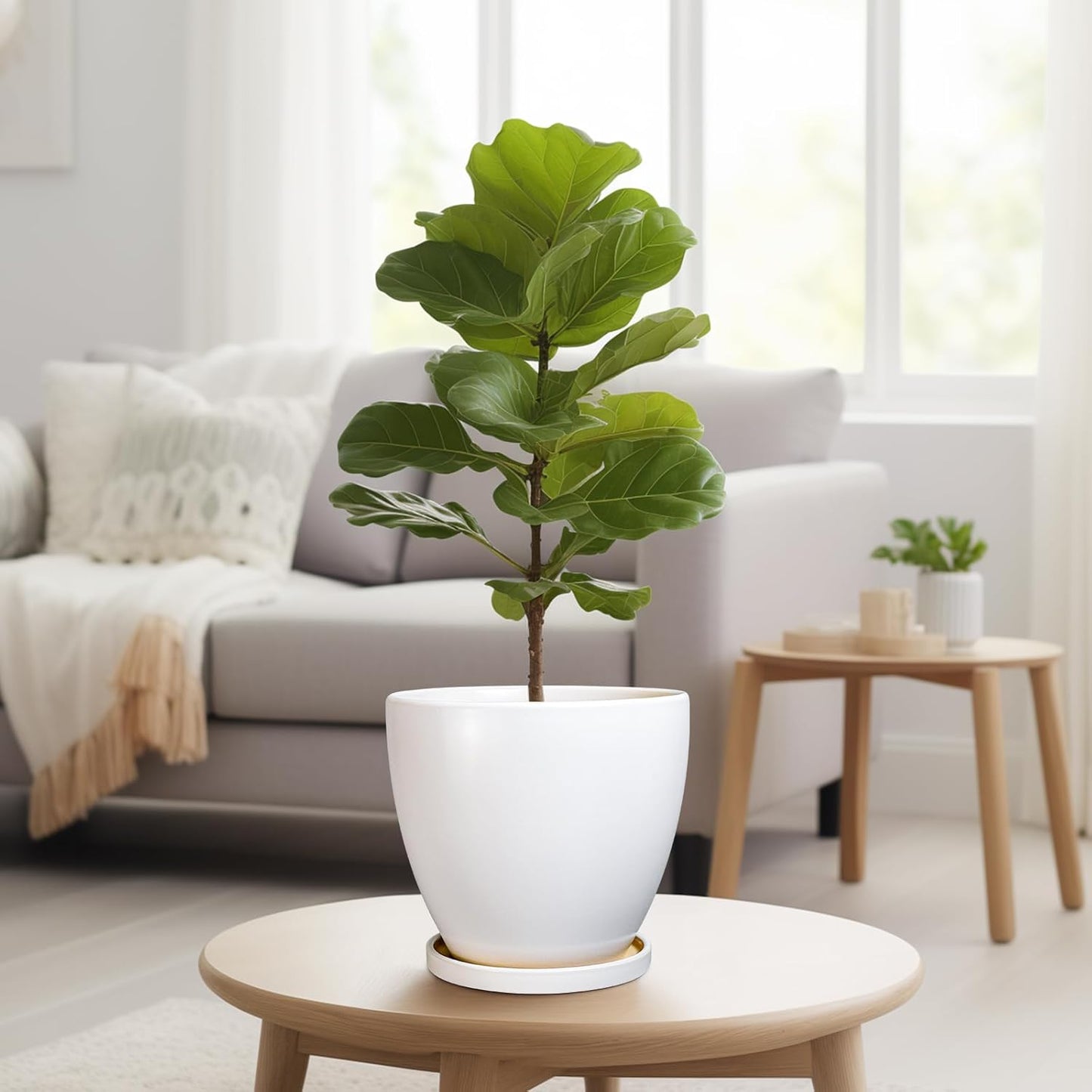 8 Inch Plant Pot - Ceraimc Planter for Indoor Outdoor Plants, Round Flower Pots with Drainage and Tray, House Decor, White