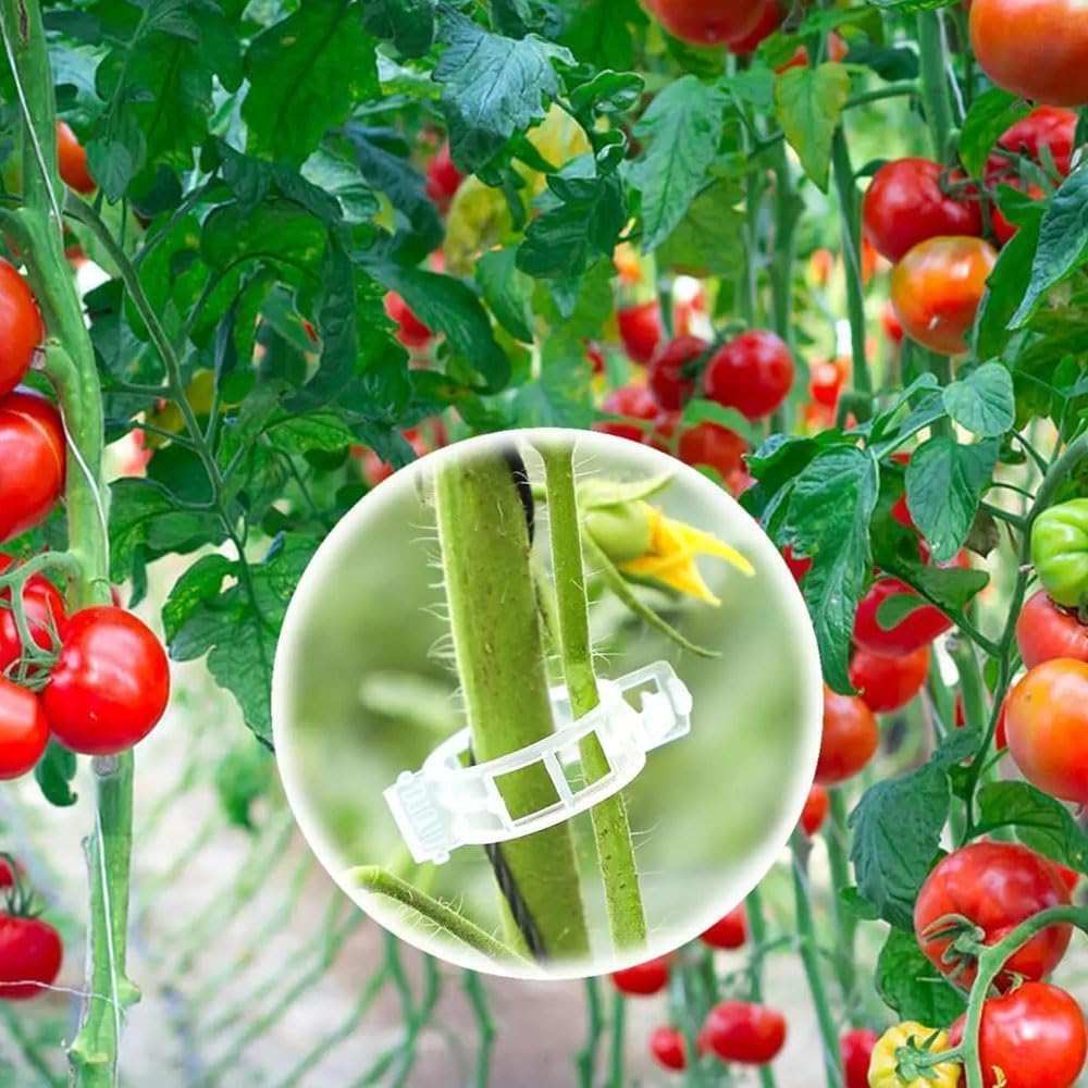 Plant Support Clips, Reusable Garden Clips Plant Holder Clips, Plastic Tomato Vine Grape Clips for String Trellis Plant Clips for Climbing Plants Support Outdoor Indoor Gardening Supplies (100, Green)