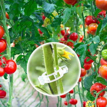Plant Support Clips, Reusable Garden Clips Plant Holder Clips, Plastic Tomato Vine Grape Clips for String Trellis Plant Clips for Climbing Plants Support Outdoor Indoor Gardening Supplies (150, Black)