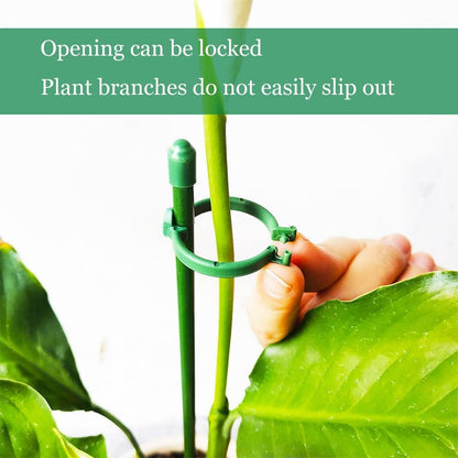 Belit 8 Pack Small Plant Support Plant Stakes, Adjustable Garden Single Stem Support Stake, Planter Support Ring for Orchid, Rose, Peony, Peppers and More, DIY 24 inch
