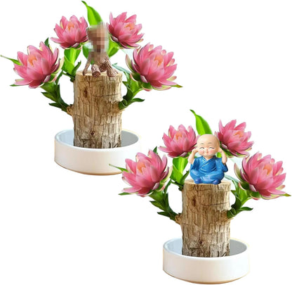 Brazilian Lucky Wood Kit with Monk, Grow Your Own Luck,Easy to Maintain Mini Brazil Woods for Indoor/Outdoor, Bedroom, Kitchen, Office Desk, Garden and Other Decorations (5D)