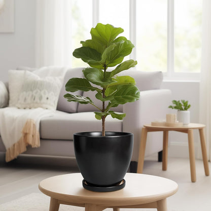 8 Inch Plant Pot - Ceraimc Planter for Indoor Outdoor Plants, Round Flower Pots with Drainage and Tray, House Decor, Black