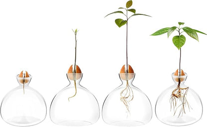 Avocado Seed Starter Planter Vase Pot Avocado Tree Growing Kit Glass Vases Grow Avocado Trees at Home Avocado Tree Growing Kit Unusual Gardening Gifts