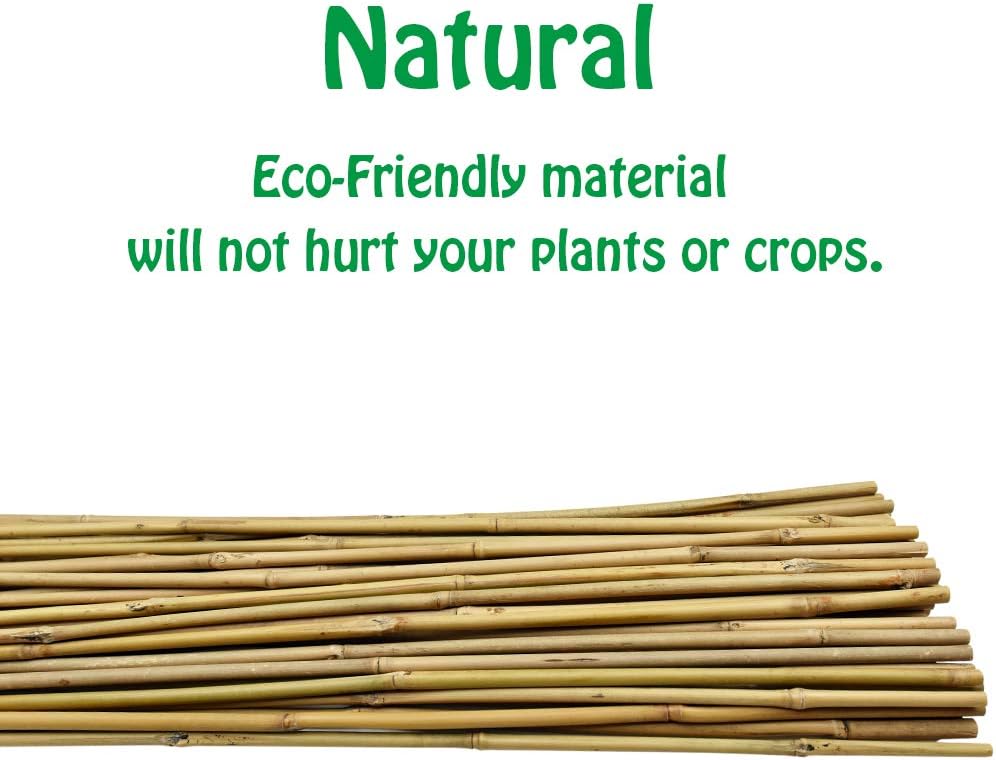 Mininfa Natural Bamboo Stakes 57 Inch (Approx 5 FEET), Eco-Friendly Garden Stakes, Plant Stakes Supports Climbing for Tomatoes, Trees, Beans, 20 Pack