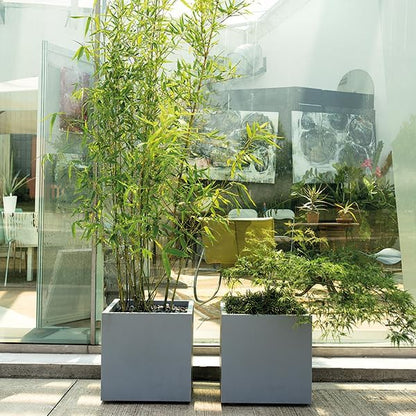 Deroma Millennium 15” Cube Planter | Light & Durable Plastic | Indoor or Outdoor Square Pot for Patio/Porch | Includes Water Reserve & Drain Plug | Trendy Planter for Plants, Flowers, Garden | Grey