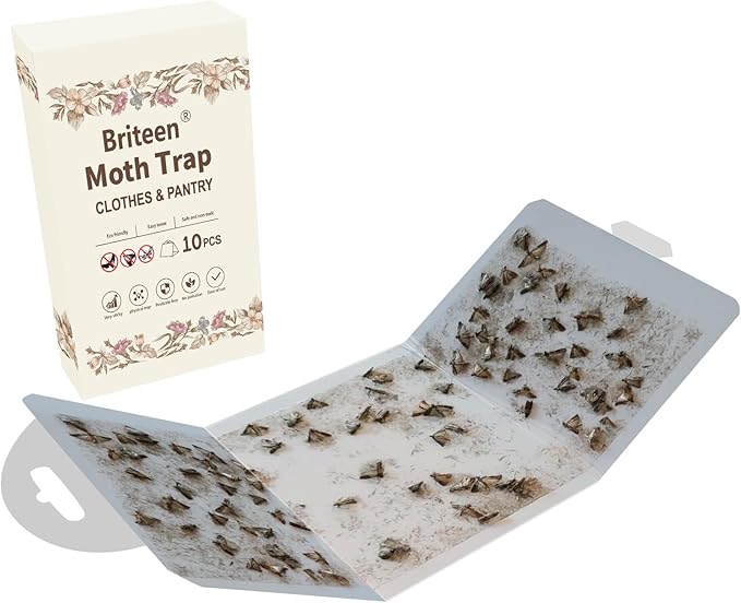 Pantry Moth Traps 10-Pack Safe and Effective for Food and Clothing- Glue Traps with Pheromones for Wool Closet Carpet Food and Cupboard K01