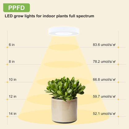 Clip on Grow Lights for Indoor Plants, 96 LEDs Full Spectrum Plant Light with Auto On/Off Timer (4/8/12H), 3 Light Modes, 10-Level Dimmable for Succulents, Small Plants (White, 2 Pack)