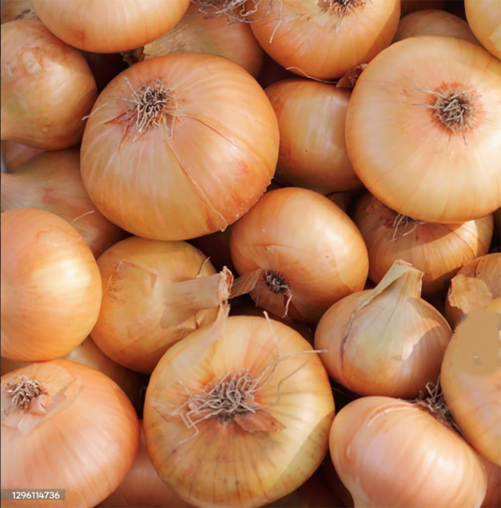 Walla Walla Onion Seeds - 100 Seeds
