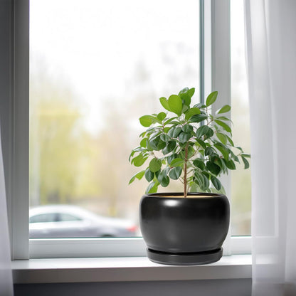 SQOWL Ceramic Plant Pots - 8 Inch Planter Indoor, Round Flower Pot with Drainage Hole and Saucer, Modern Outdoor Planter, Apartment Decor, Gifts for Plant Lovers, Black