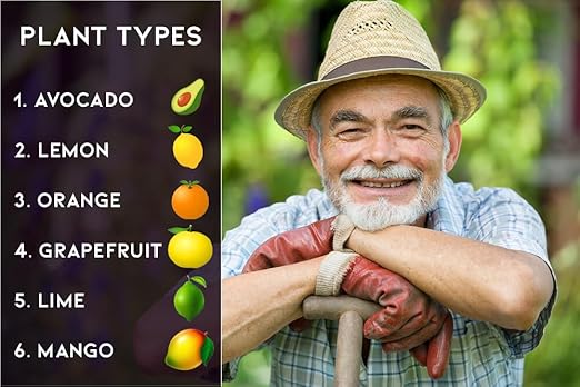 Premium Citrus and Avocado Fertilizer (6-4-6) by Gardenera - Enhance The Health and Flavor of Your Citrus and Avocado Fruits - 3 QUARTS