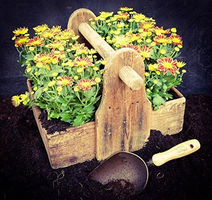 DeWit Forged Scoop Trowel - Heavy Duty Garden Tool with Extra Large Head, Tempered Boron Steel Blade & Ash Hardwood Handle (13.5" Total Length, 0.7lbs)