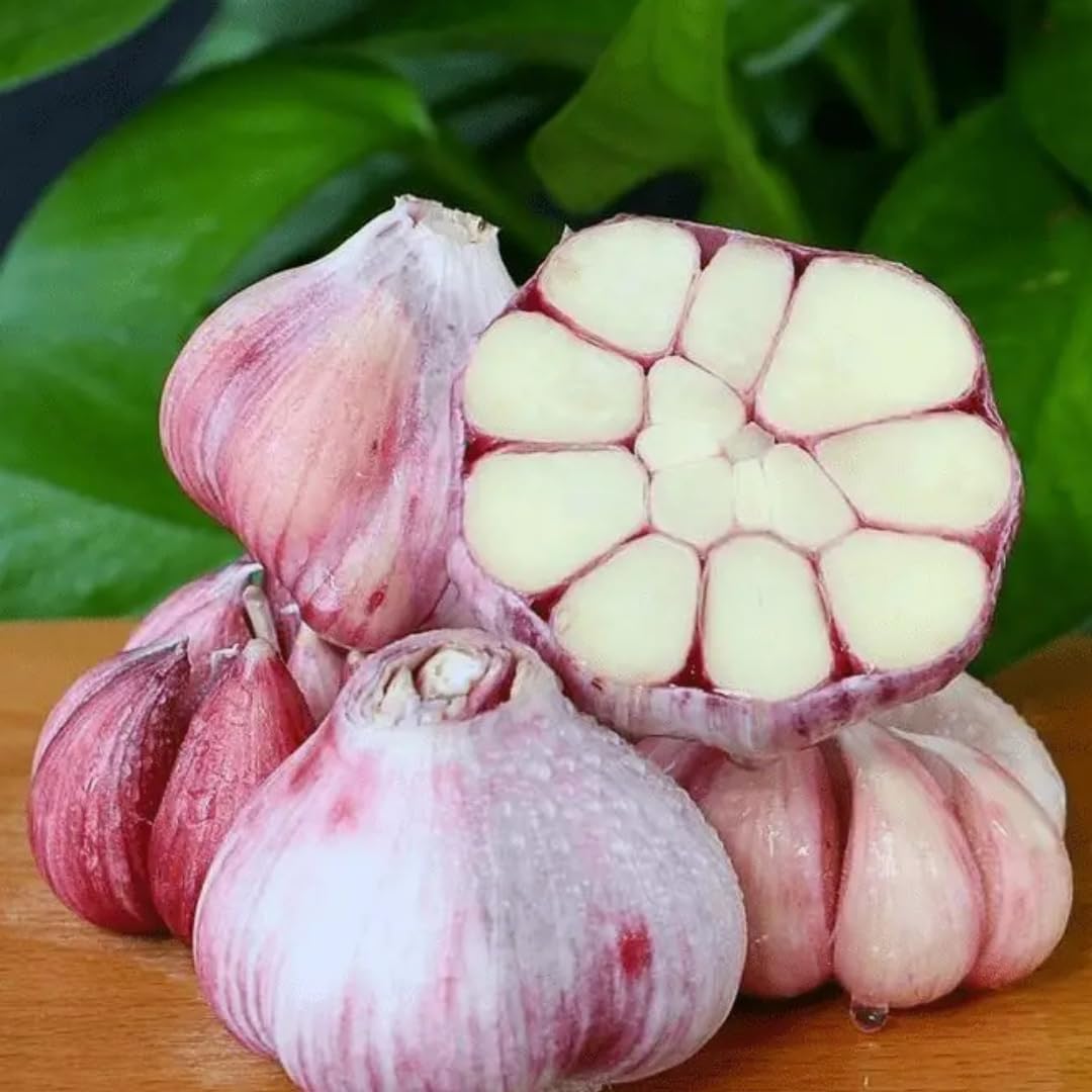 1 Pound Hard Neck Garlic for Planting in Fall, Assorted Mixed Garlic Bulb for Planting, Fresh and High Yield, Cold Hardy, Planting Softneck Hardneck