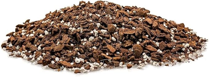 Shingle Plant Planting Mix - Promotes Steady Growth and Healthy Leaves - 10 Quart (2 Bags of 5 Quart)