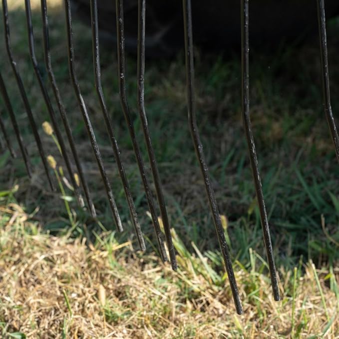 Titan Attachments 3 Point Pine Straw Needle Rake, Category 1 Tractors, Coil Spring Tines, Drag-Behind Landscape (Rake Width: 6')