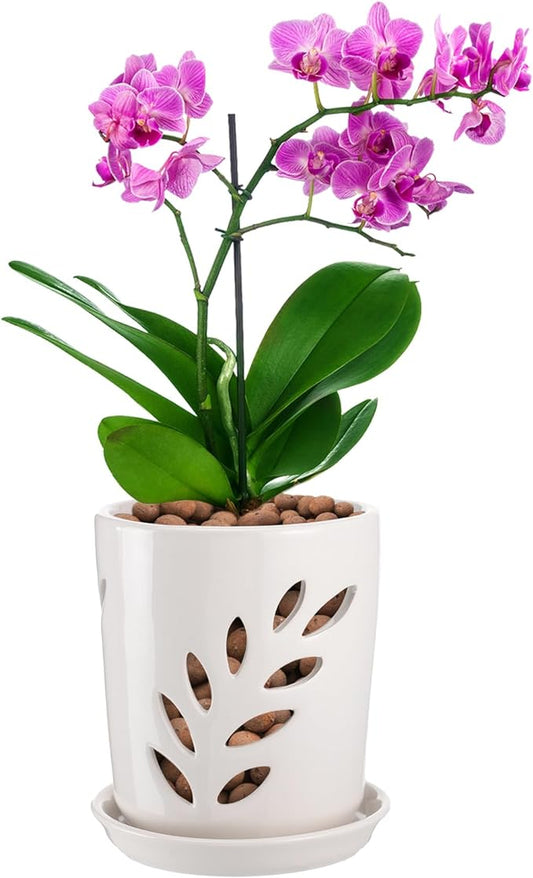 Aulock 4in Ceramic Orchid Pot with Holes - Decorative Orchid Pot Leaf Hollow with Saucer, Excellent Air Circulation, for Dendrobium Oncidium Cattleya Repotting Indoor Outdoor