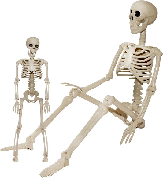 Skeleton Halloween Decorations Outdoor Indoor - 1Pcs 36" 1Pcs 16" Posable Plastic Skeleton,3FT