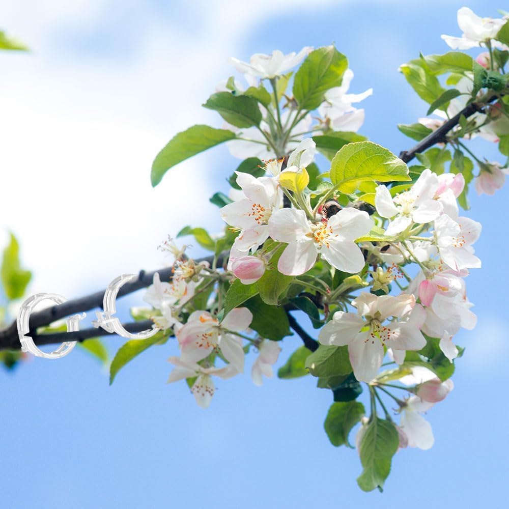 50 PCS Secured Plastic Plant Clip, Plant Support Clips, Garden Clips for Climbing Plants, Plastic Trellis Clips Plant Support Clips Tomato Grape Vine Vegetables Plant Fixing Clips (50, Black)