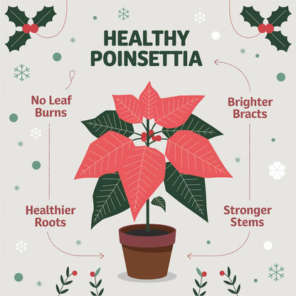 Gardenera Poinsettia Plant Fertilizer - 3-1-2 NPK - Organic Liquid Plant Food for Christmas Flowers and Trees - 32oz Concentrate