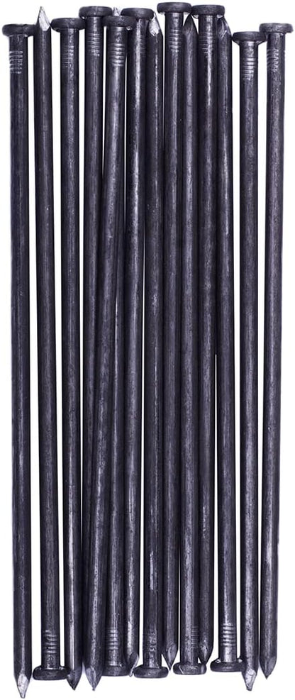 Metal Landscape Edging Anchoring Spikes, 200PCS 10 Inch Landscape Paver Edging Anchoring Spikes for Artificial Turf, Weed Barrier, Tent Spikes, Camping (200)
