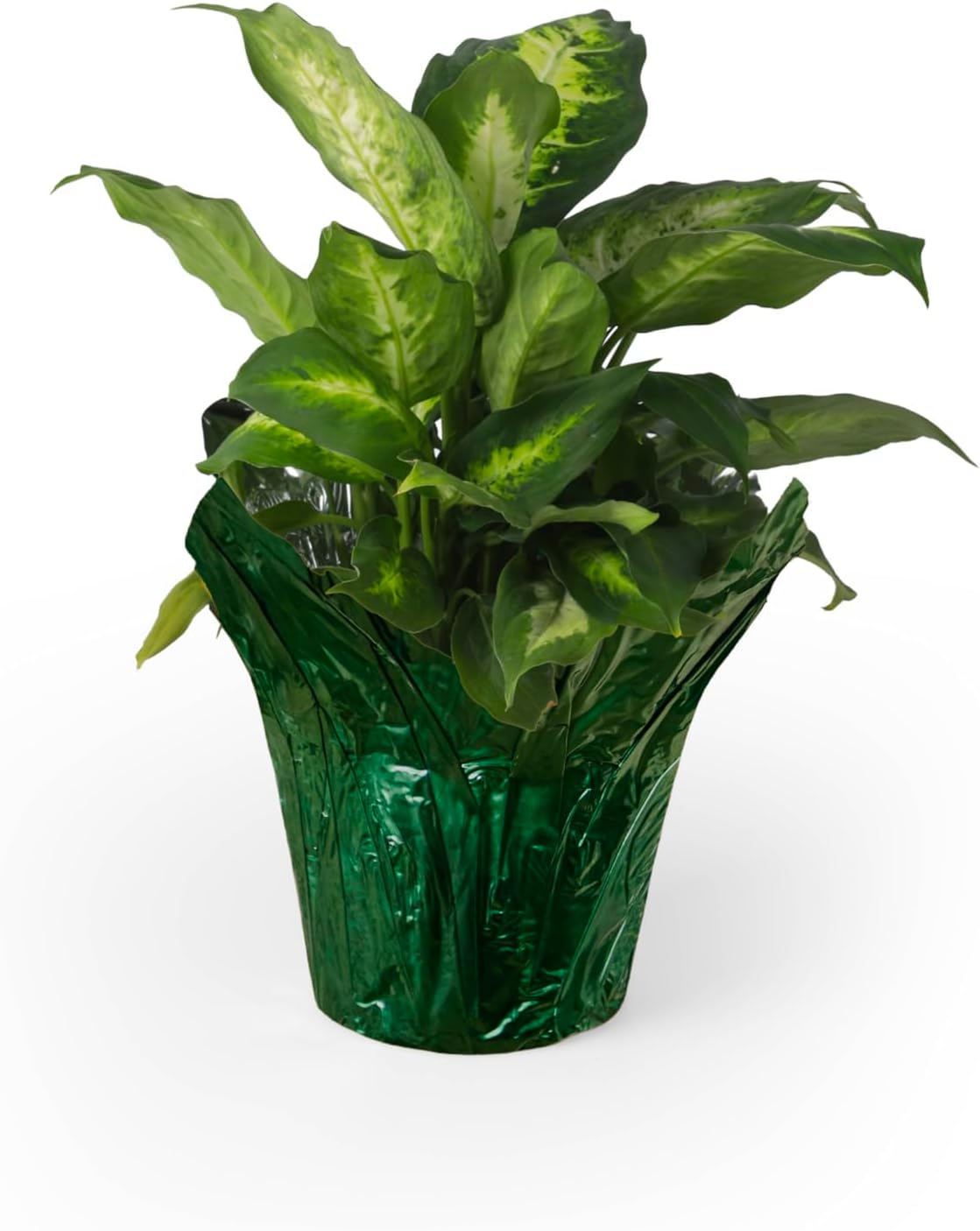 4.5” STD Plant Pot Covers, Decorative Plant Sleeve for Indoor & Outdoor House Plants, Reusable and Gift-Ready Foil Wrap for Flower Pots, Evergreen, Pack of 5