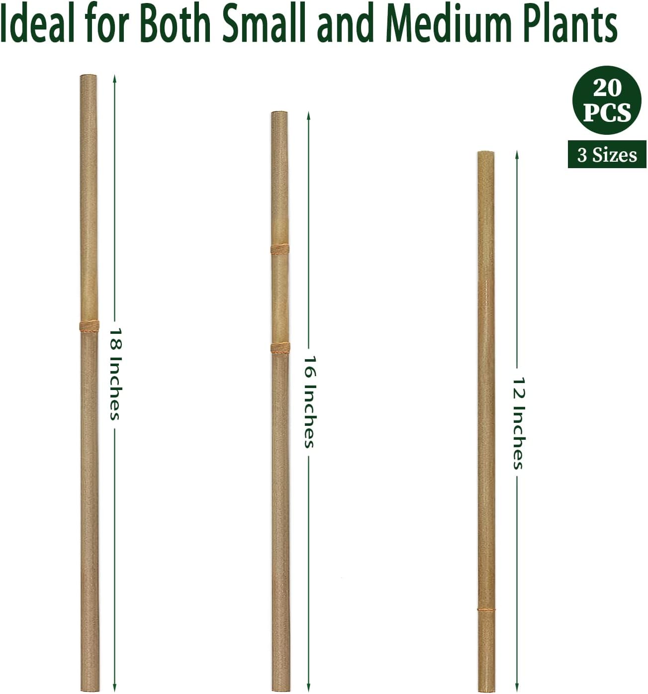 Plant Stakes,12 Inches Natural Garden Bamboo Sticks,BOVITRO 20Pcs Plant Support Stakes for Tomatoes,Beans,Vegetable and Potted Plants