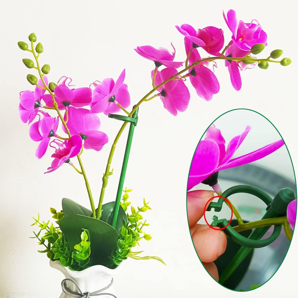 Belit 8 Pack Small Plant Support Plant Stakes, Adjustable Garden Single Stem Support Stake, Planter Support Ring for Orchid, Rose, Peony, Peppers and More, 12 inch