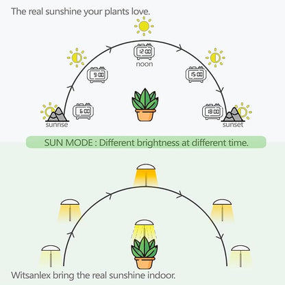 LED Grow Lights for Indoor Plants, Smart USB Small Full Spectrum Plant Lights with Remote, Height Adjustable, Auto On/Off Timer, Ideal for Home Decoration, Black