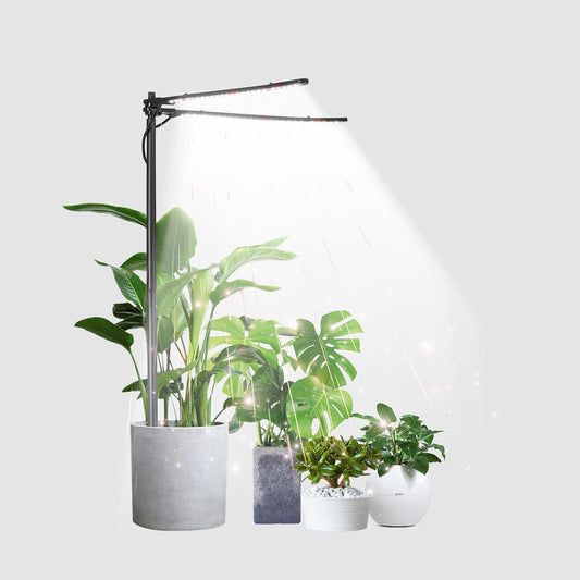 Plant Grow Light, Plant Lamp for Indoor Plants Growing, 6000K White Red Light for Succulents Mini Small Plants Growth (Without Timer/Dimming)