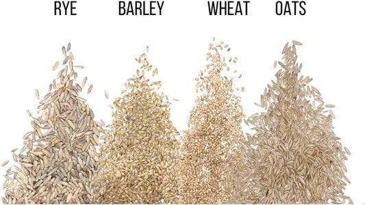 Cat Grass Seeds for Growing | 4 Way Blend, Rye, Wheat, Oats and Barley | Made in USA, Ships from Iowa. (10 Pounds)