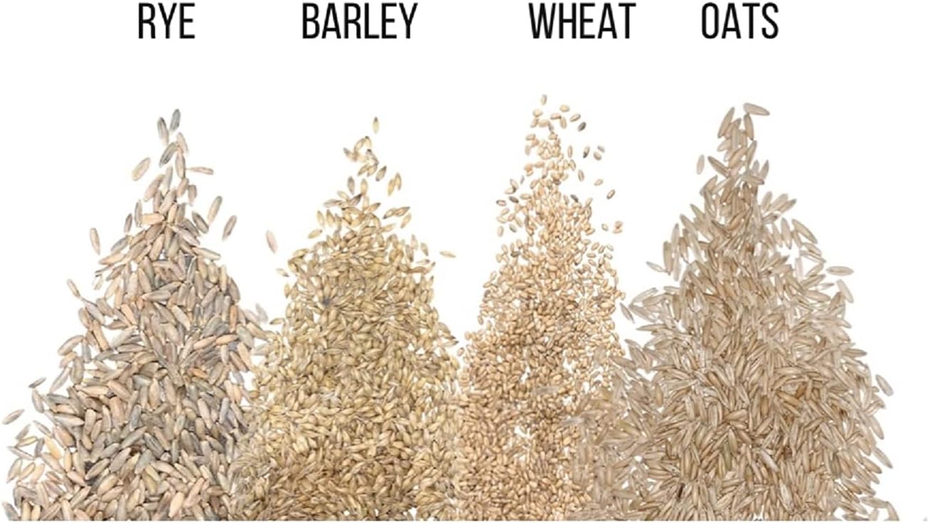 Cat Grass Seeds for Growing | 4 Way Blend, Rye, Wheat, Oats and Barley | Made in USA, Ships from Iowa. (25 Pounds)