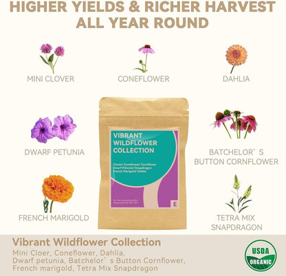 inbloom Flower Seed Pod Kit for AeroGarden, iDoo, Ahopegarden, GARDENCUBE, MUFGA Hydroponics, 12 Pods (350+ Seeds with Coneflower, Petunia, Snapdragon, French Marigold, Dahlia)