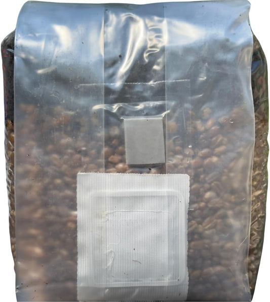 Mushroom Grow Kit - Magic All in One Mushroom Grow Bags (Pack of 1)