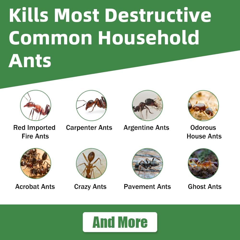 36 PCS Ant Killer Gel Bait Stations, Extra Strengthen Ant Bait Traps, Long-Lasting Effective Pest Gel for Carpenter Ants and Other Common Household Ants, No Mess Easy Use, Safe for Pets and Kids