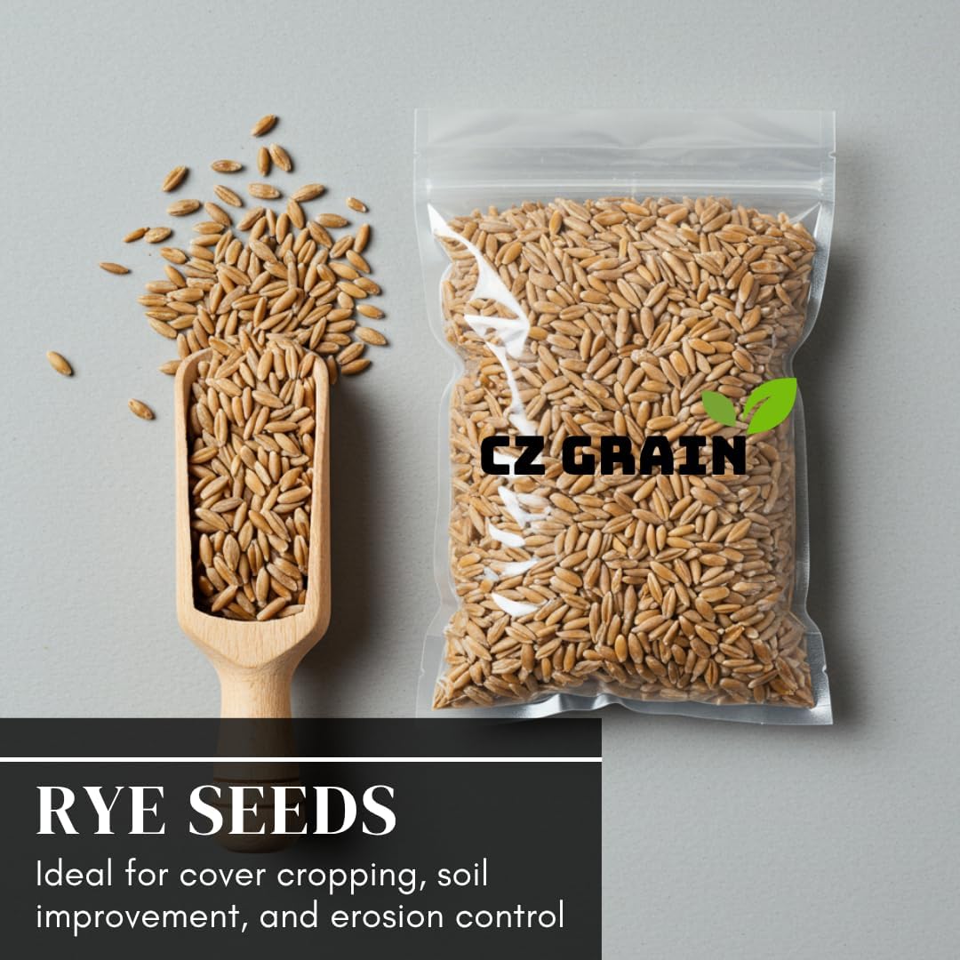 Rye Grass Seed - Fast Growing and Hardy Grass, Cover Crop, Food Plot. Grazing Pasture Seeds (25 Pounds)