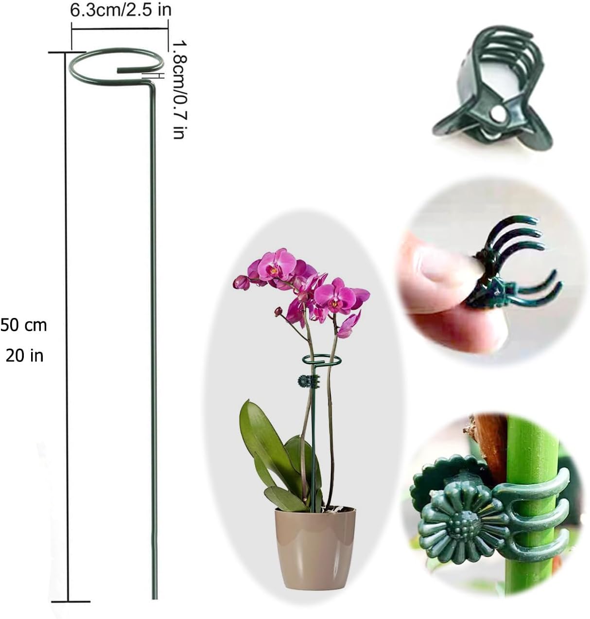 10 pcs 20 inch Metal Single Stem Flower Plant Support Stakes and Rings for Amaryllis Orchid Lily Sunflower Rose Narcissus
