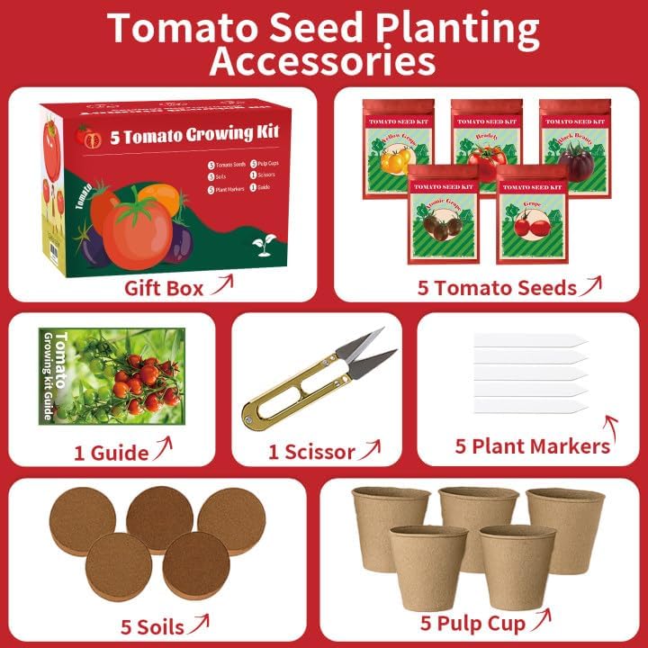 5 Pack Tomato Seeds for Planting - 100+ Heirloom Tomato & Tomatillo Seeds Variety Pack to Grow in Your Home Vegetable Garden, Non-GMO, Complete Gardening Starter Gift