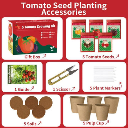 5 Pack Tomato Seeds for Planting - 100+ Heirloom Tomato & Tomatillo Seeds Variety Pack to Grow in Your Home Vegetable Garden, Non-GMO, Complete Gardening Starter Gift