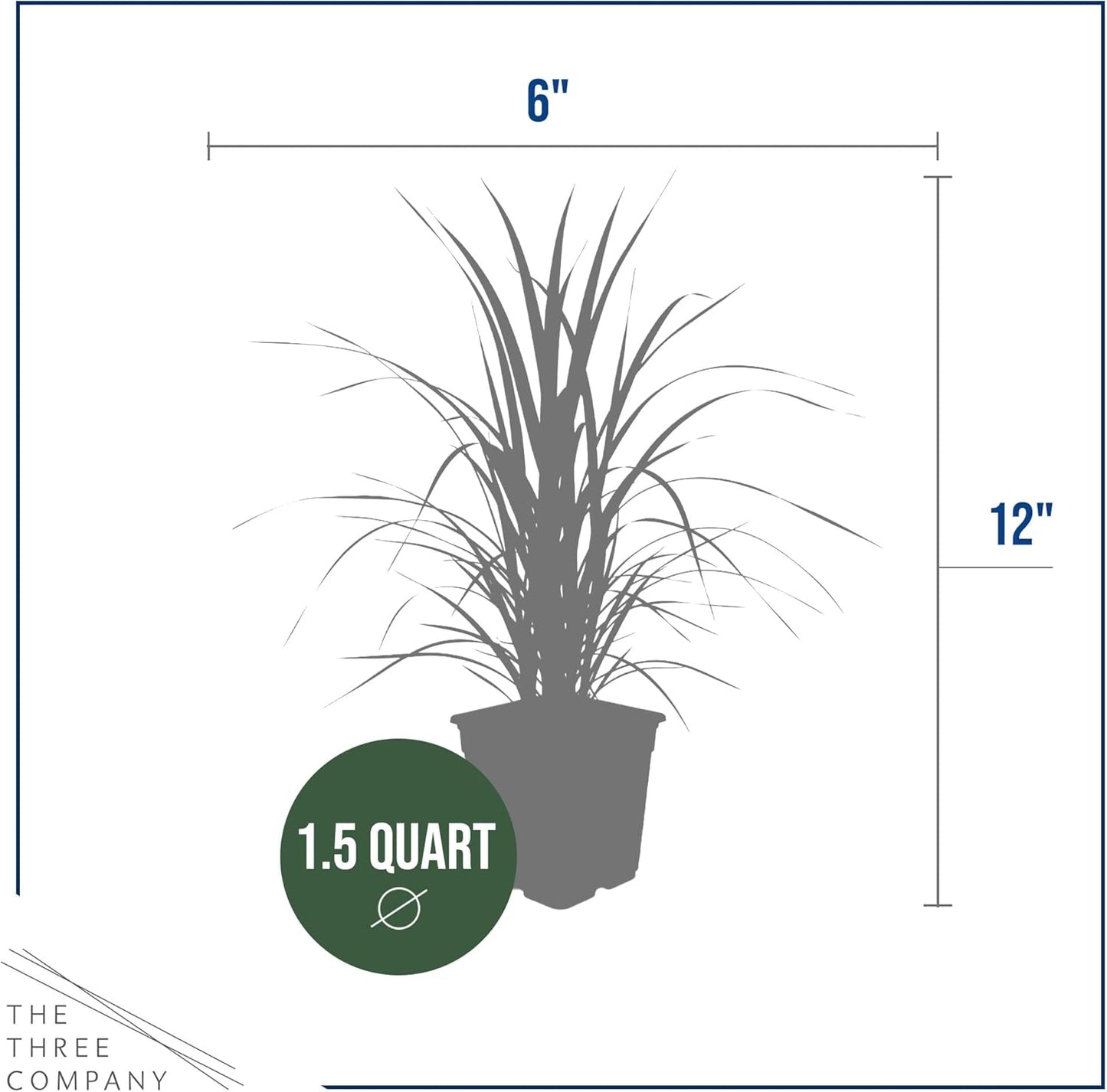 Ornamental Assorted Pink and White Grass (2 Plants Per Pack) - Live Decorative Plant - 12" Tall by 6" Wide in 1.5 Qt Pot