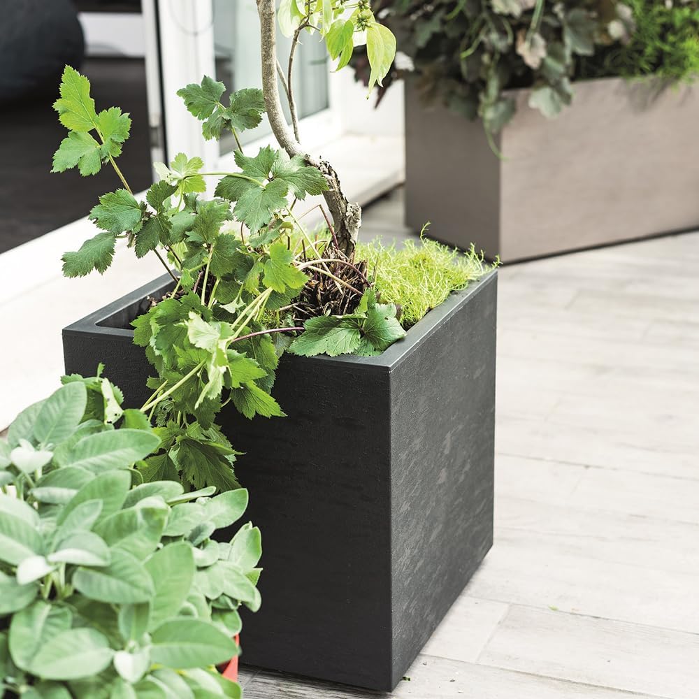 Deroma Gravity 10” Cube Planter | Light & Durable Plastic | Indoor or Outdoor Square Pot for Patio/Porch | Includes Water Reserve & Drain Plug | Trendy Planter for Plants, Flowers, Garden | Black