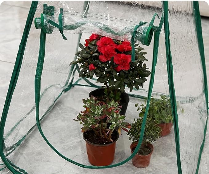 27.56" * 27.56" * 31.5" Greenhouses for Outdoors, Portable Greenhouse Kit with Side Windows, PE Cover, Backyard Garden Indoor Outside, Foldable, No Assembly Required