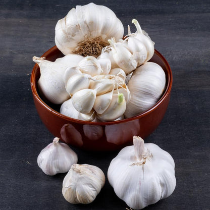 1 Pound Garlic for Planting in Fall Hard Neck, 8-10 White Garlic Bulbs for Planting, Fresh and High Yield Bulb Variety Pack, Hardy and Fast Growing