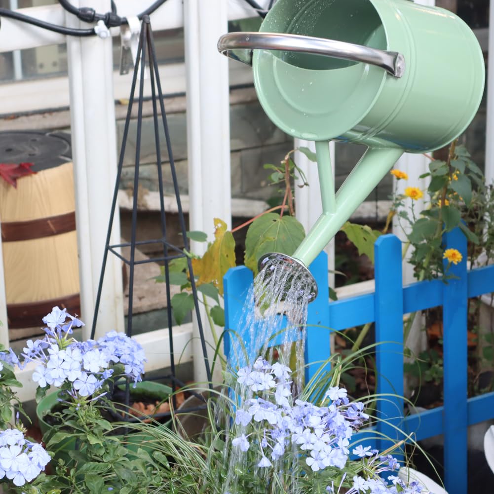 yourjoy Metal Watering Can 1 Gallon for Outdoor Garden Plants, CGreen