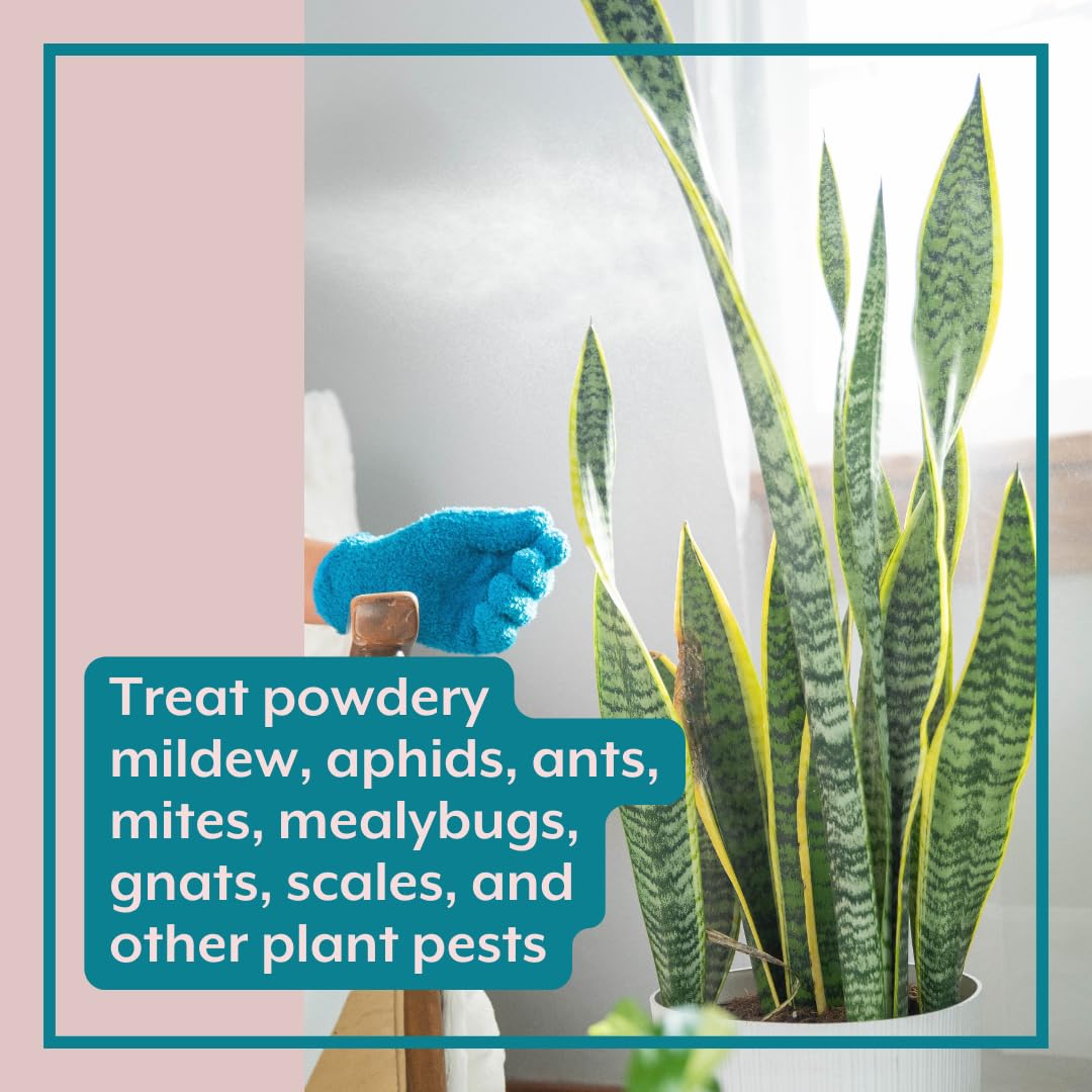 Instant Plant Protection (4Tablets) Self-Dissolving Tablets | Peppermint Spray for Protecting Indoor and Houseplants Against Spider Mites, Insects, and Disease