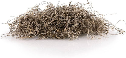 Gardenera Premium Natural Spanish Moss | Natural Preserved - Great Ground Cover - Filler for Potted Plants - 5 Quart Bag