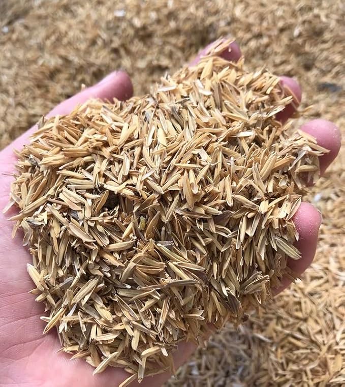 Organic Rice Hulls - Improve Soil Texture and Nutrient Retention - Best for House Plants and Chicken Bedding - 1 Quart