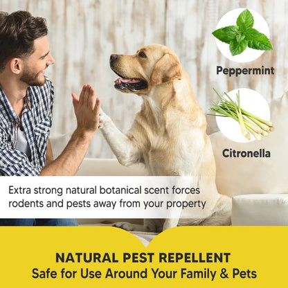 Pest Control, Mice Repellent Indoor, Rat Repellent, Mouse Repellent Outdoor, Long-Lasting Rodent Repellent Indoor, Repel Mice, Mouse, Rats, Ants, Roaches, Spiders, Moths & Other Pests-10P
