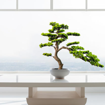 3ft（43in） Artificial Bonsai Tree Juniper Faux Plants Indoor Big Fake Plants Decor with Ceramic Pots for Home Table Office Desk Bathroom Shelf Bedroom Living Room Farmhouse Decorations