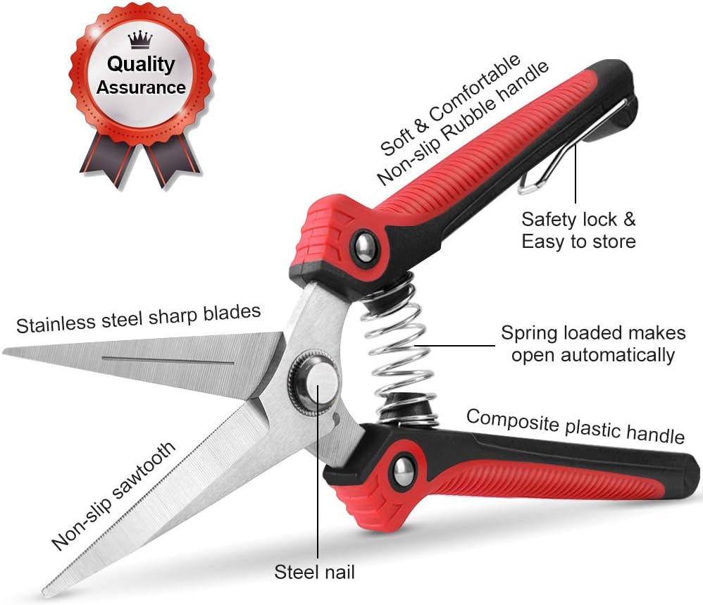 WYF Pruning Scissors, Professional Garden Shears - Straight Stainless Steel Blades - Sharp Gardening Hand Pruner for Garden Harvesting Fruits, Vegetables, Trimming Flowers and Plants, 8.1IN(Red)